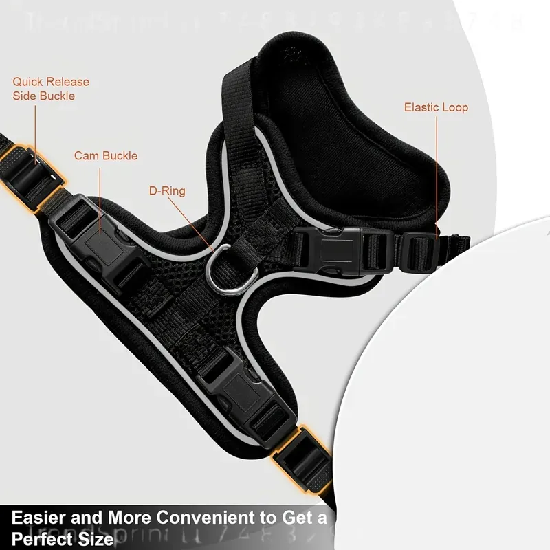 Cat Harness And Leash Set Anti - đánh giá và giá Outdoor Adventure Wear