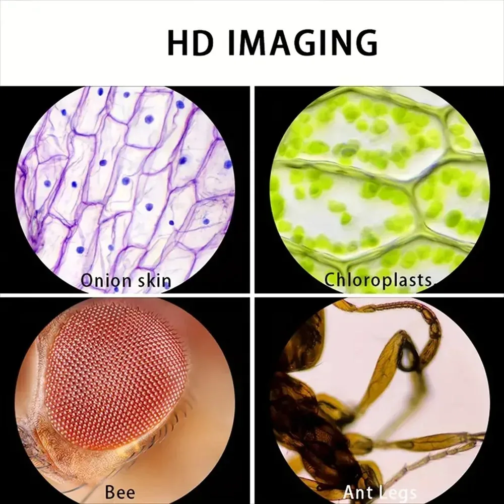 Pocket Microscope for Kids |   - đánh giá và giá Outdoor Adventure Microscope