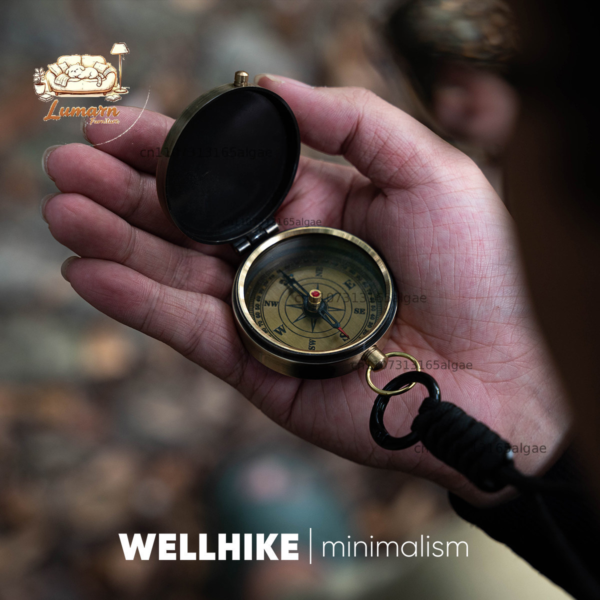 WELLHIKE Collector's Edition D - đánh giá và giá Outdoor Adventure Japan